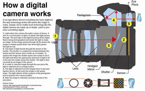 Illustrations: Digital Camera